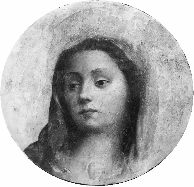 Volto della Vergini - Palazzo Solaini